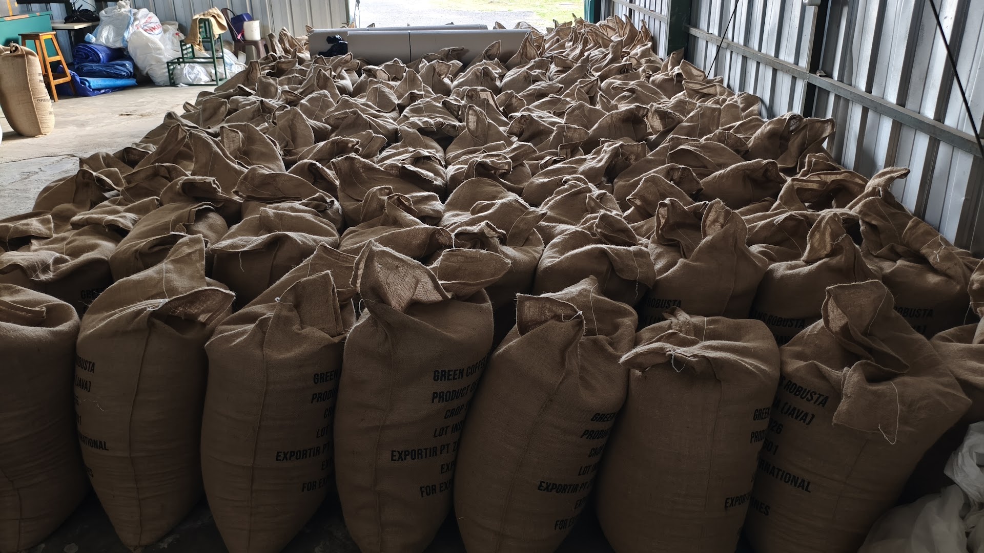 Green coffee beans in the Jaad warehouse